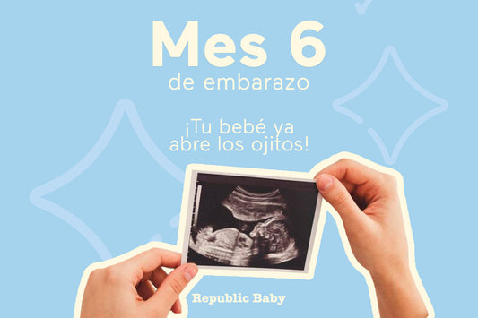 Mes 6 de embarazo: desarrollo del bebé, síntomas y cambios en el segundo trimestre