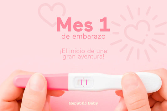 Mes 1 de embarazo: síntomas, desarrollo embrionario y consejos para el primer mes