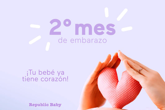 ¿Qué sucede en el mes 2 de embarazo? Formación del corazón y cambios en la madre