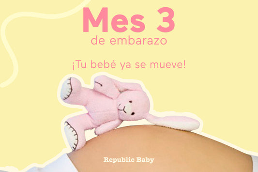 ¿Qué sucede en el tercer mes de embarazo? Cambios en la madre y el bebé
