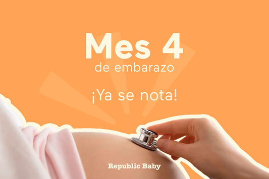 Guía del mes 4 de embarazo: síntomas, alimentación y evolución del bebé